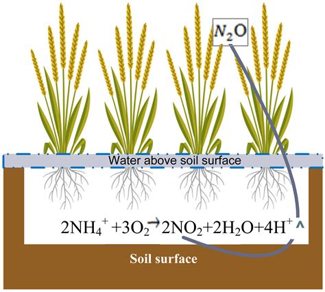 rice gas